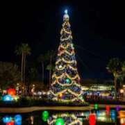 ヒメ日記 2025/12/25 16:36 投稿 亜希 昼顔妻 五反田店