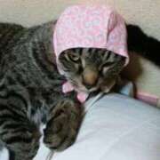 ヒメ日記 2025/11/25 20:51 投稿 ゆきの 熟女22時