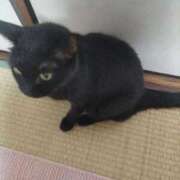 ゆきの 出勤しました 熟女22時