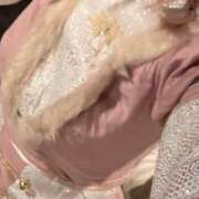 ヒメ日記 2025/10/29 20:36 投稿 なみ WHITE（金沢）