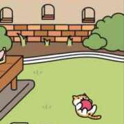 ヒメ日記 2025/11/15 20:14 投稿 なみ WHITE（金沢）