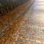 ヒメ日記 2025/11/26 20:53 投稿 なみ WHITE（金沢）