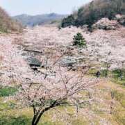 ヒメ日記 2026/03/29 18:04 投稿 桜川晶 五十路マダム 岐阜店