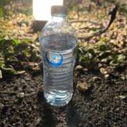 ヒメ日記 2025/11/09 22:10 投稿 みら 佐賀人妻デリヘル 「デリ夫人」