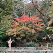 ヒメ日記 2025/11/26 10:05 投稿 みら 佐賀人妻デリヘル 「デリ夫人」