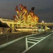 ヒメ日記 2025/11/27 09:20 投稿 みら 佐賀人妻デリヘル 「デリ夫人」