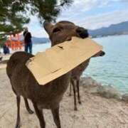 ヒメ日記 2025/12/07 11:30 投稿 みら 佐賀人妻デリヘル 「デリ夫人」