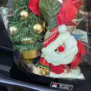 ヒメ日記 2025/12/09 14:53 投稿 みら 佐賀人妻デリヘル 「デリ夫人」