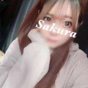 ヒメ日記 2025/10/29 12:21 投稿 さくら ナメすぎサークル立川店