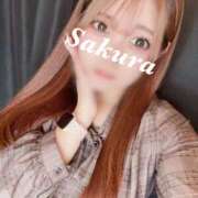 さくら しゅ❣️ ナメすぎサークル立川店