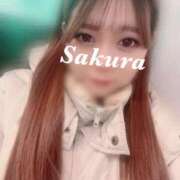 さくら 出勤❣️ ナメすぎサークル立川店