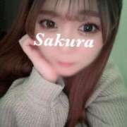 ヒメ日記 2025/12/13 12:21 投稿 さくら ナメすぎサークル立川店