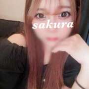 ヒメ日記 2026/04/01 12:21 投稿 さくら ナメすぎサークル立川店