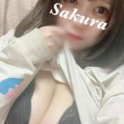 ヒメ日記 2026/04/04 12:25 投稿 さくら ナメすぎサークル立川店