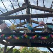 ヒメ日記 2025/12/10 21:36 投稿 さゆみ 美女のカタチ