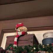 ヒメ日記 2025/12/12 00:36 投稿 さゆみ 美女のカタチ