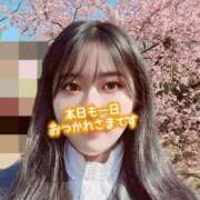 ヒメ日記 2026/02/22 11:00 投稿 せり Arrest（アレスト）