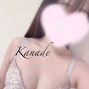 ヒメ日記 2025/11/03 16:18 投稿 かなで 池袋マリン別館