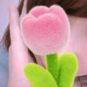 ヒメ日記 2025/12/26 13:40 投稿 島田えな 月の真珠-五反田-