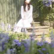 ヒメ日記 2025/11/17 23:23 投稿 せいら 宮崎AROMA OLIVE