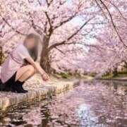 ヒメ日記 2026/03/15 19:53 投稿 せいら 宮崎AROMA OLIVE