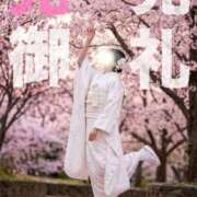 ヒメ日記 2026/03/18 09:43 投稿 せいら 宮崎AROMA OLIVE