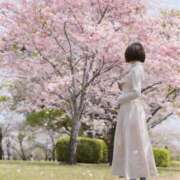 ヒメ日記 2026/04/10 11:53 投稿 せいら 宮崎AROMA OLIVE