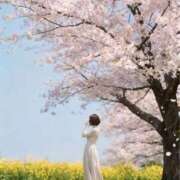 ヒメ日記 2026/04/16 07:33 投稿 せいら 宮崎AROMA OLIVE