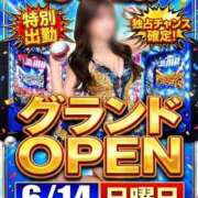 ヒメ日記 2026/06/14 12:00 投稿 せいら 宮崎AROMA OLIVE