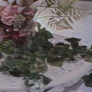 ヒメ日記 2026/04/20 00:13 投稿 あんな 宮崎AROMA OLIVE