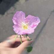 黒川りこ 春☘️ ドクトル・ストレッチ