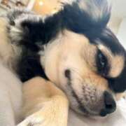 ヒメ日記 2025/11/10 18:01 投稿 チナツ（愛嬌抜群バニー） バニーコレクション 中洲店