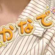 ヒメ日記 2025/11/22 08:44 投稿 カナデ【清楚の皮を脱いだエロスの化身】 秘書コレクション 高松店