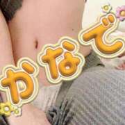 ヒメ日記 2025/11/24 22:54 投稿 カナデ【清楚の皮を脱いだエロスの化身】 秘書コレクション 高松店