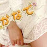 ヒメ日記 2025/11/25 14:24 投稿 カナデ【清楚の皮を脱いだエロスの化身】 秘書コレクション 高松店