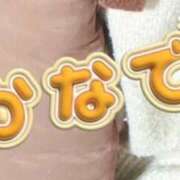 ヒメ日記 2025/12/29 15:14 投稿 カナデ【清楚の皮を脱いだエロスの化身】 秘書コレクション 高松店