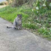 まき おはよう☀️ MINT（ミント）