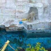 もこ しばらく消えます Venti大阪