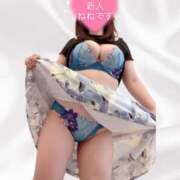 ヒメ日記 2025/10/16 02:03 投稿 ねね 快楽夫人