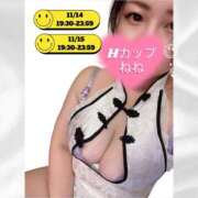 ヒメ日記 2025/11/13 15:26 投稿 ねね 快楽夫人