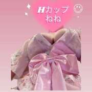 ねね 散り始めた桜がきれいですね 快楽夫人