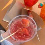 ヒメ日記 2026/03/02 20:40 投稿 ぐみ デザインプリズム新宿