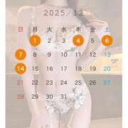 ヒメ日記 2025/11/27 18:54 投稿 吉野 れい ライオンズクラブ