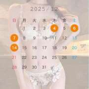 ヒメ日記 2025/11/29 19:00 投稿 吉野 れい ライオンズクラブ