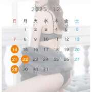 ヒメ日記 2025/12/08 13:37 投稿 吉野 れい ライオンズクラブ