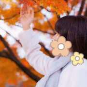 ヒメ日記 2025/11/23 12:22 投稿 ことみ 人妻・若妻デリヘル レディプレイス