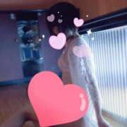 ヒメ日記 2025/12/11 17:35 投稿 ことみ 人妻・若妻デリヘル レディプレイス