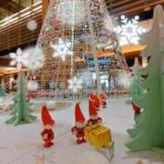 ヒメ日記 2025/12/24 09:04 投稿 ことみ 人妻・若妻デリヘル レディプレイス