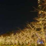 ヒメ日記 2025/12/31 07:57 投稿 ことみ 人妻・若妻デリヘル レディプレイス