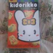 ヒメ日記 2026/01/27 11:17 投稿 ことみ 人妻・若妻デリヘル レディプレイス